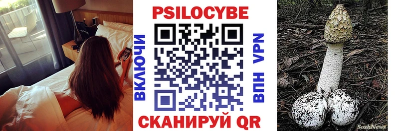 Псилоцибиновые грибы Magic Shrooms  купить наркотик  Покров 